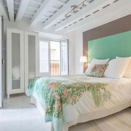 Calle Torre 公寓 *